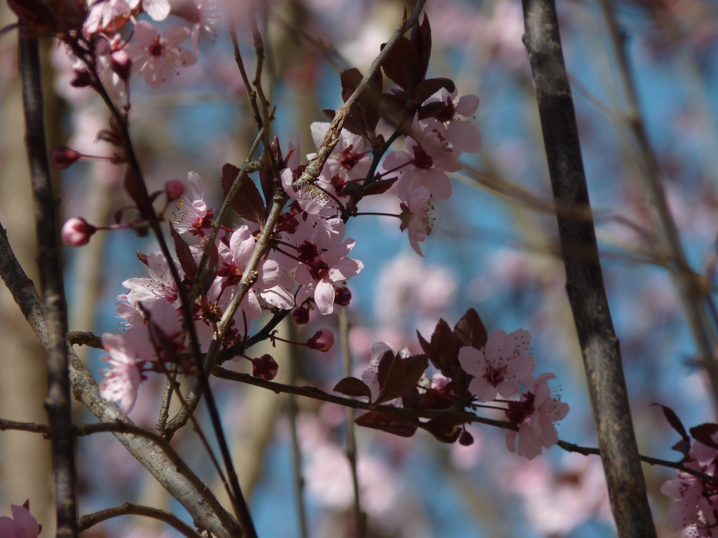 No s'ha trobat l'arxiu